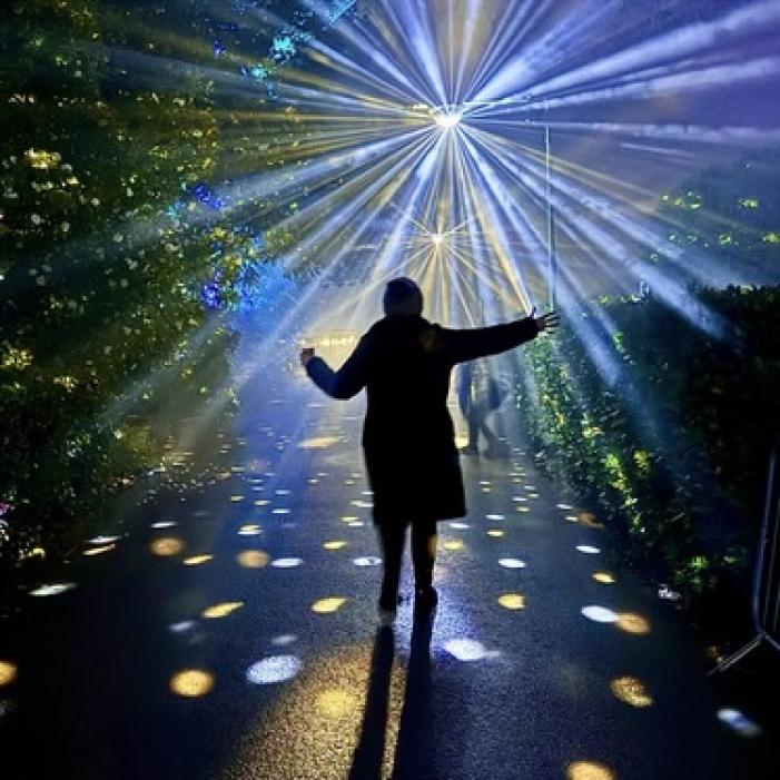 lumiere Glittering Grove, Sound Intervention. Leonardslee Lights. Photo by Voiceboxphotography (1).jpeg